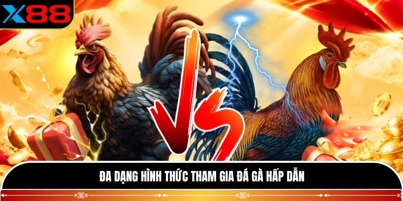 Đa dạng hình thức tham gia đá gà hấp dẫn